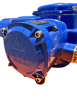 380V AC Intelligent Electric Actuator Part Turn With Thermal Protection