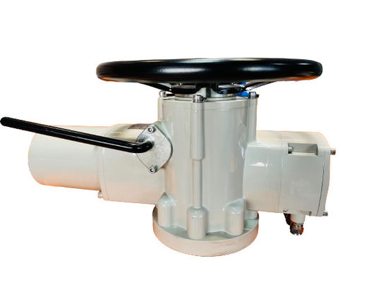 220V AC 2500NM Multi Turn Pneumatic Actuator Customized IP67