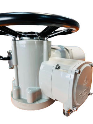 220V AC 2500NM Multi Turn Pneumatic Actuator Customized IP67