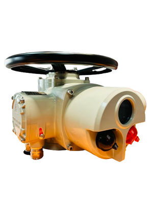 220V AC 2500NM Multi Turn Pneumatic Actuator Customized IP67